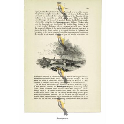 Berwick, Northumberland, England, Book Illustration (Print), c1870