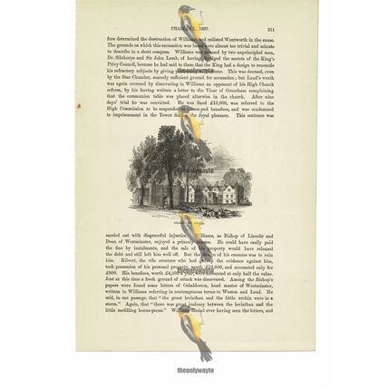 Charlecote House, Warks, England, Book Illustration (Print), c1870