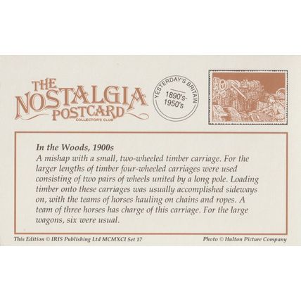 Postcard In the Woods Timber Wagon Accident Mishap Horse Raphael Tuck Nostalgia