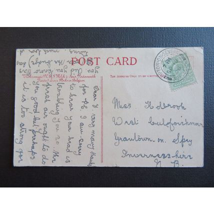Trichromatic by J Welch, White Lilac,Youthful Innocence Novelty Vintage Postcard