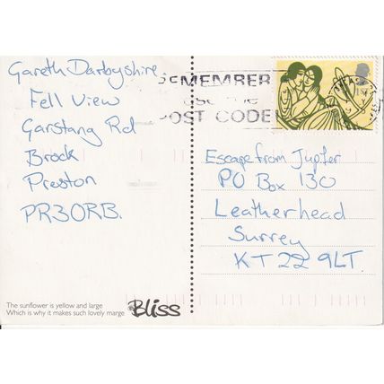 GB postcard 1995 - Sunflower