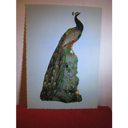 THE 'LOCH ARD PEACOCK, VICTORIA, AUSTRALIA unused postcard. Minton Pottery =