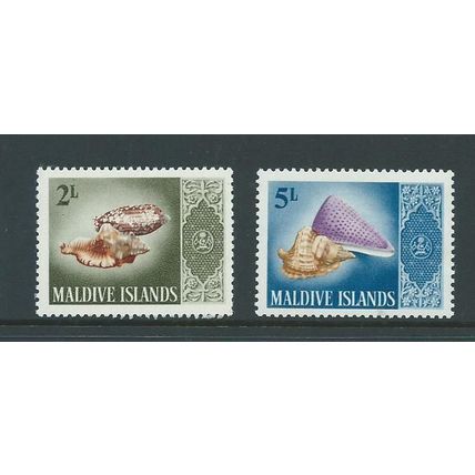 Maldive islands stamps shells sg174 sg 174 hm 1966