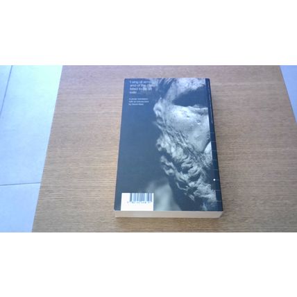 The Aeneid: A New Prose Translation (Wonders of the World) Virgil (1st P/B 2001)