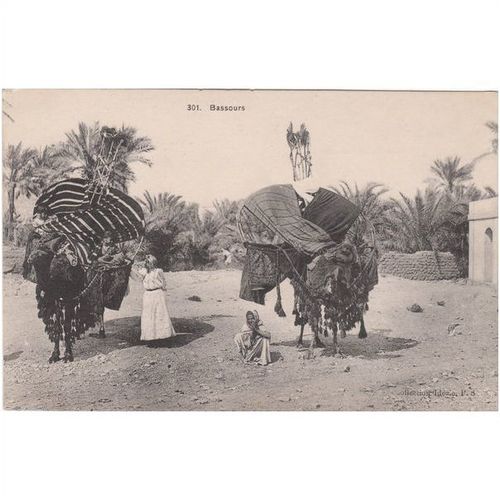 Camels With Arab Men Ethnic Postcard (ETH1125)