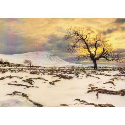Ingleborough from Keld Bank New Years Day Award Photography Winner Postcard