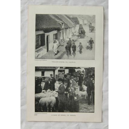 Vintage illustration: Lower Lake of Killarney, sale of sheep Kerry, village