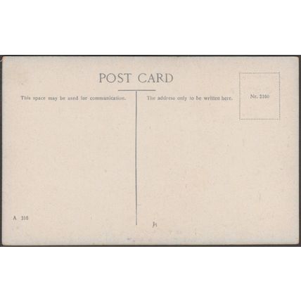 Birthday Greetings, I Wish You Well, c.1910s - Postcard