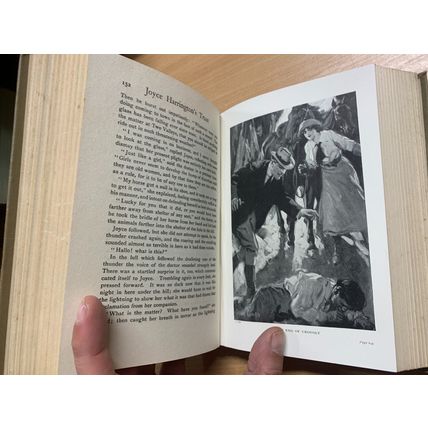 c1910s BESSIE MARCHANT "JOYCE HARRINGTON'S TRUST" ILLUSTRATED FICTION BOOK (P4)