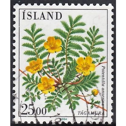 Iceland, 1984 25k Flowers, SG 642 (Scott #587), used