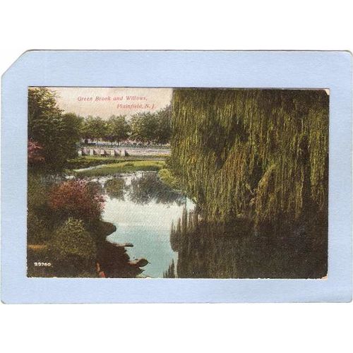 New Jersey Plainfield Green Brook & Willows~2765