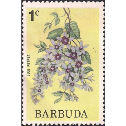 BARBUDA, FLOWERS, Blue Petrea, yellow 1975, 1c