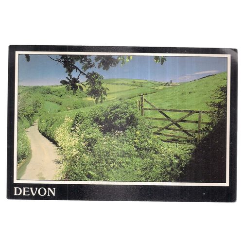 DEVON COUNTRYSIDE used large postcard 1988 postmark =