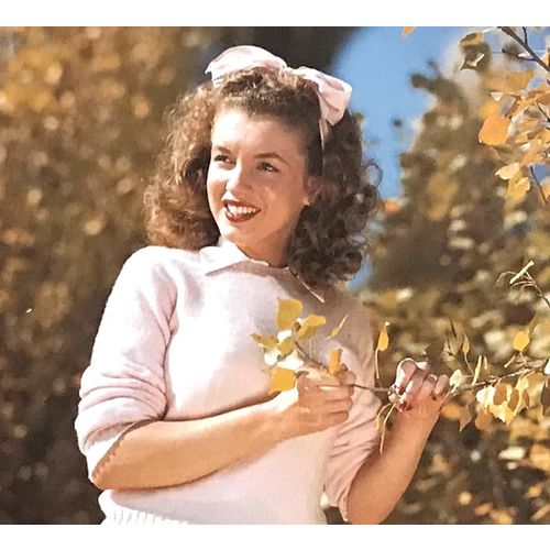Marilyn Monroe vintage print Apple Blossom poster Playboy Man Gift Wall Art b