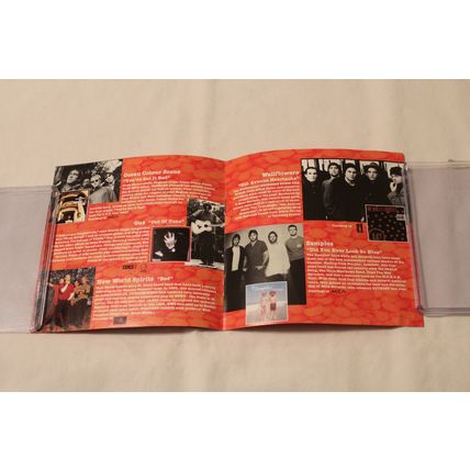 STRAWBERRIES NEW MUSIC SAMPLER-5" Various Artists Promo Sampler CD