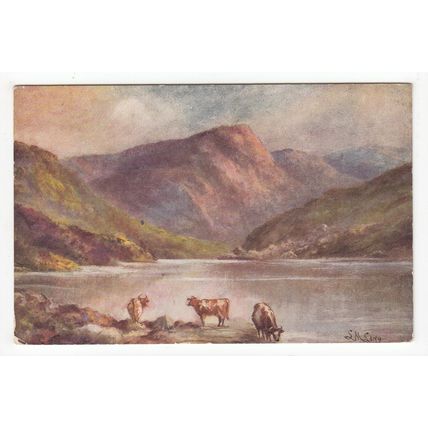 Rural Scene near Bettws-y-Coed Postcard Art Wales