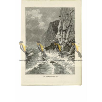 Stormy Seas, Winds & Waters Roar, Inspirational, Book Illustration (Print), 1888