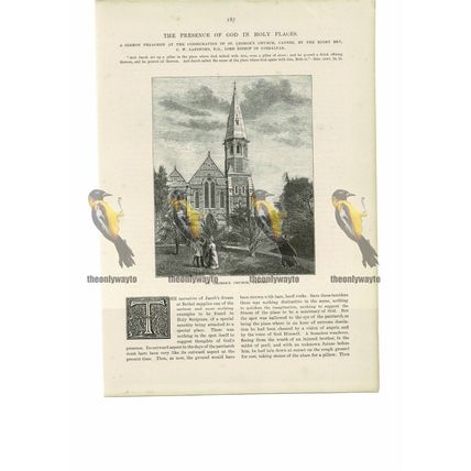 St George's Church, Cannes, France, Book Illustration (Print), 1888