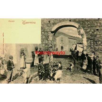 Capraie (GoatsT, Taormina, Sicily, Italy, 14678e Postcard