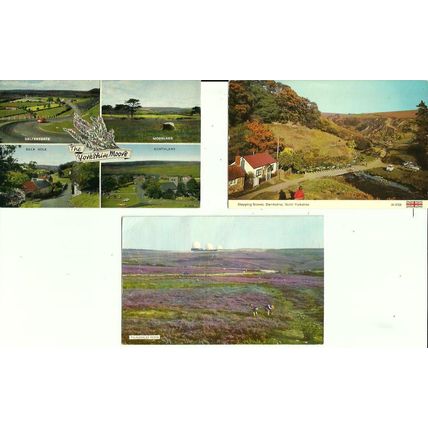YORKSHIRE MOORS Three 1980's Postcards (Dennis)
