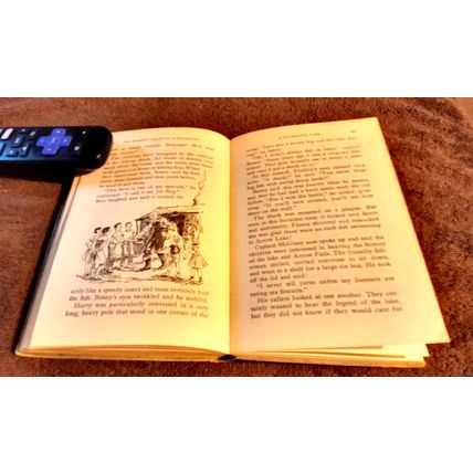 The Bobbsey Twins On A Houseboat 1955 By Laura Lee Hope Great Shape
