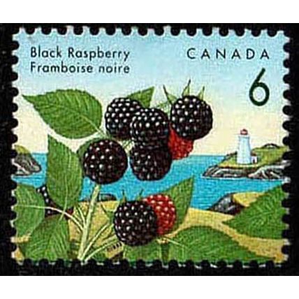 Canada 1992 Edible Fruit 6c Used Stamp.