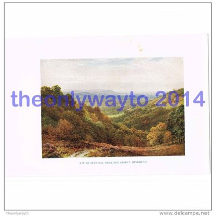 Wide Stretch from The Gibbet, Hindhead, Surrey, England, Book Illustration (Prin