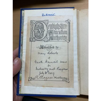 c1909 BESSIE MARCHANT "JULIETTE THE MAIL CARRIER" ANTIQUE ILLUSTRATED BOOK (P5)