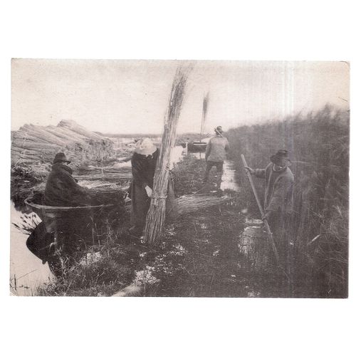 DURING THE REED HARVEST, by P.H.Emerson Norfolk Broads c.1887 unused postcard =