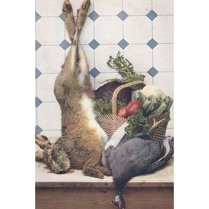 Butcher ed Rabbit Bird Fox Hunting Antique Corpse 1910 Postcard
