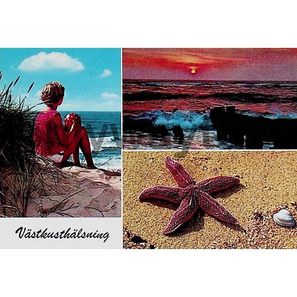 Vastkusthalsning - Swedish Coast, Postcard