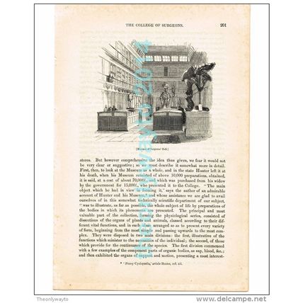 MUSEUM OF SURGEONS HALL, LONDON, ENGLAND, BOOK ILLUSTRATION/PRINT, 1842