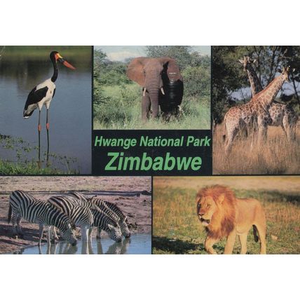 Hwange National Wildlife Park Zimbabwe 1980s Postcard