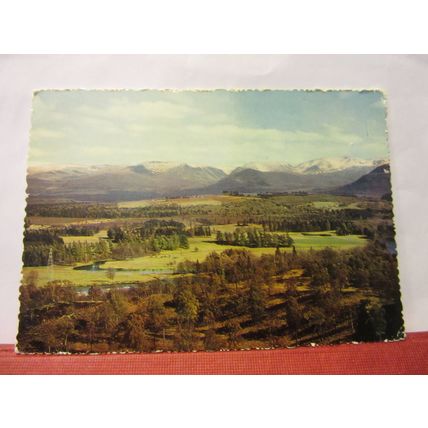 ROTHIEMURCHUS FOREST, AVIEMORE, SCOTLAND unused postcard =