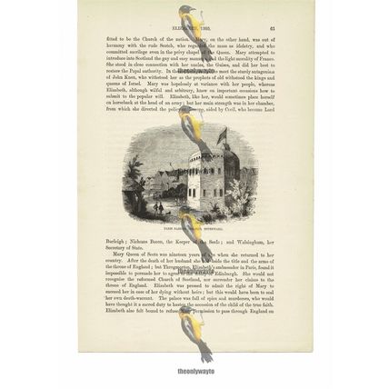 Paris Garden Theatre, Southwark, London, c1560, Book Illustration (Print), c1870