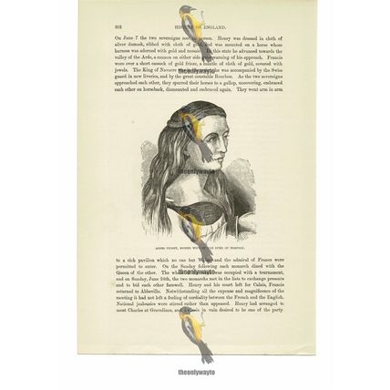 Agnes Tilney, 2nd Wife Of Duke Of Norfolk, Book Illustration (Print), c1870