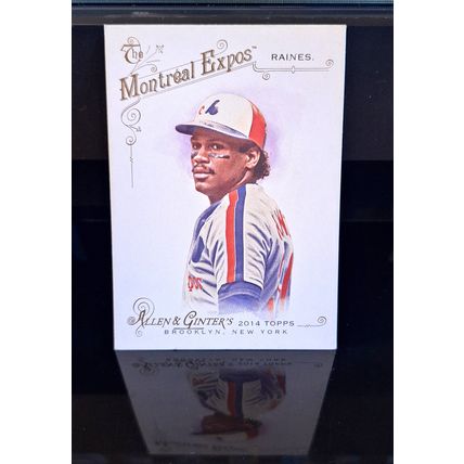 TIM RAINES 2014 TOPPS ALLEN GINTER BASEBALL CARD #272