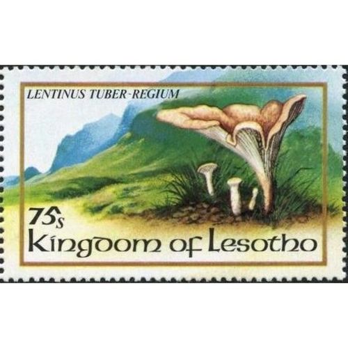 Lesotho QEII 1983 Fungi 75s Lentinus tuber-regium Mounted Mint MM SG 535 stamp