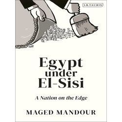 Egypt Under El-Sisi
