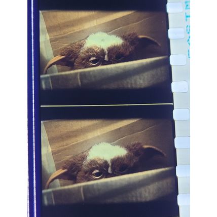 Gremlins. pk DJQ - b 028b. 1 strip of 5 film cells - 35mm