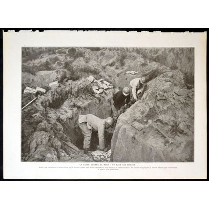 AT THE FRENCH CAMP NEAR SALONIKA: THE FLAG GUARD 1915 FRANCE WORLD WAR I