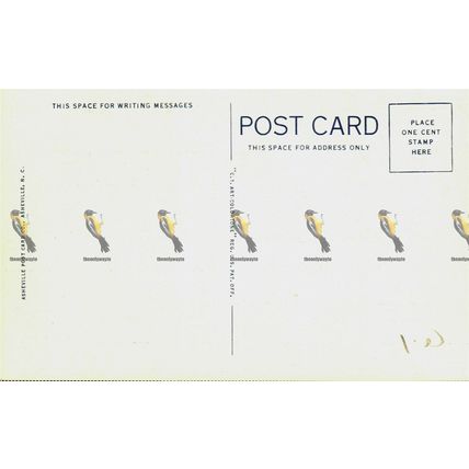 Greetings From Land And Sky, Ashville, USA, 964 Art Colortone Ashville Postcard