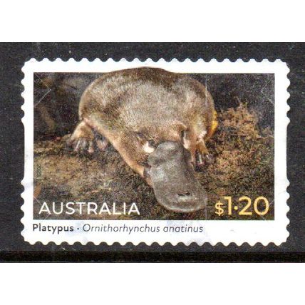 AUSTRALIA: 2023 NATIVE ANIMALS, $1.20 PLATYPUS USED SELF-ADHESIVE STAMP. 044/045