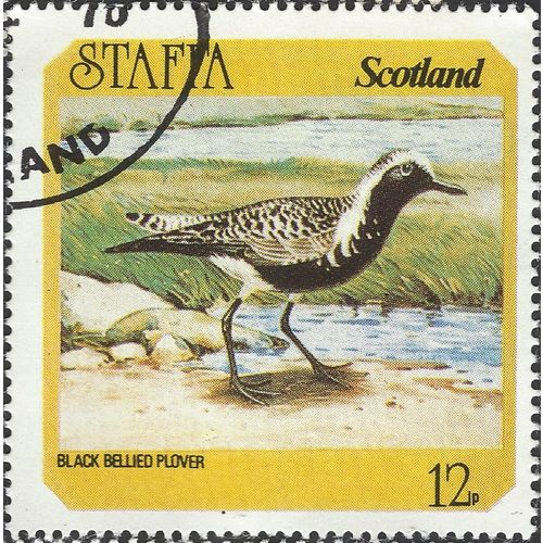STAFFA, BIRD, Black-bellied plover, yellow 1976?, 12p
