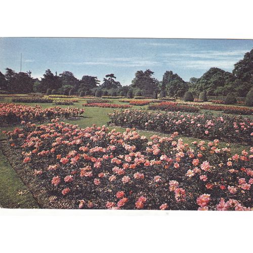 Royal Botanic Gardens Kew(nice slogan) Middlessex Postcard (NBL76388)