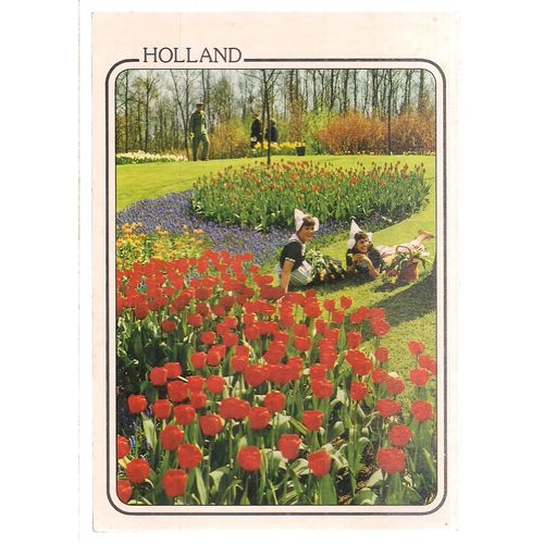 HOLLAND .used postcard 1988 postmark. TULIPS #
