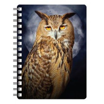 Pocket notebooks with 3D image of Owls 5 designs to choose from