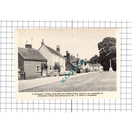 Terling Essex - 1972 Clipping