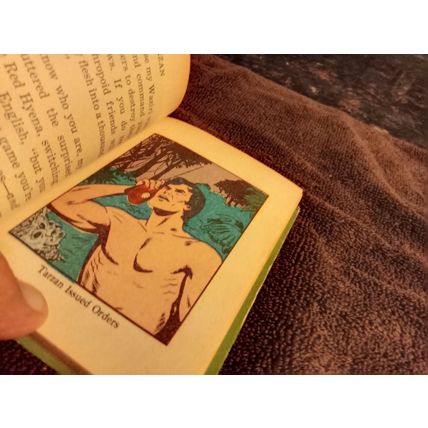 Big Little Book Tarzan The Mark Of The Red Hyena # 2005 By George S Elrick 1967