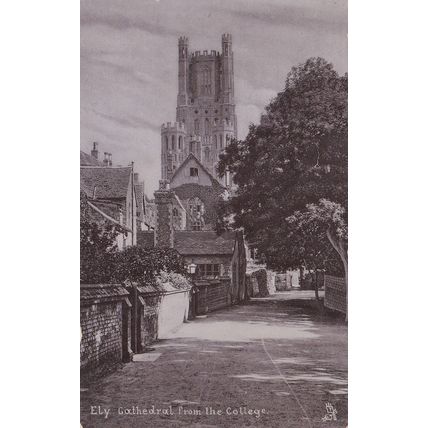 EC792 ELY CATHEDRAL FROM THE COTTAGE . PRINTED POSTCARD